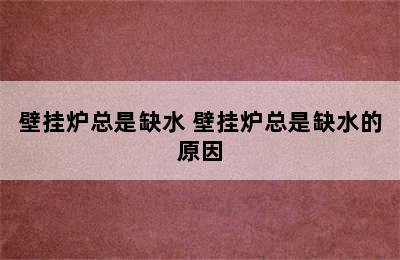 壁挂炉总是缺水 壁挂炉总是缺水的原因